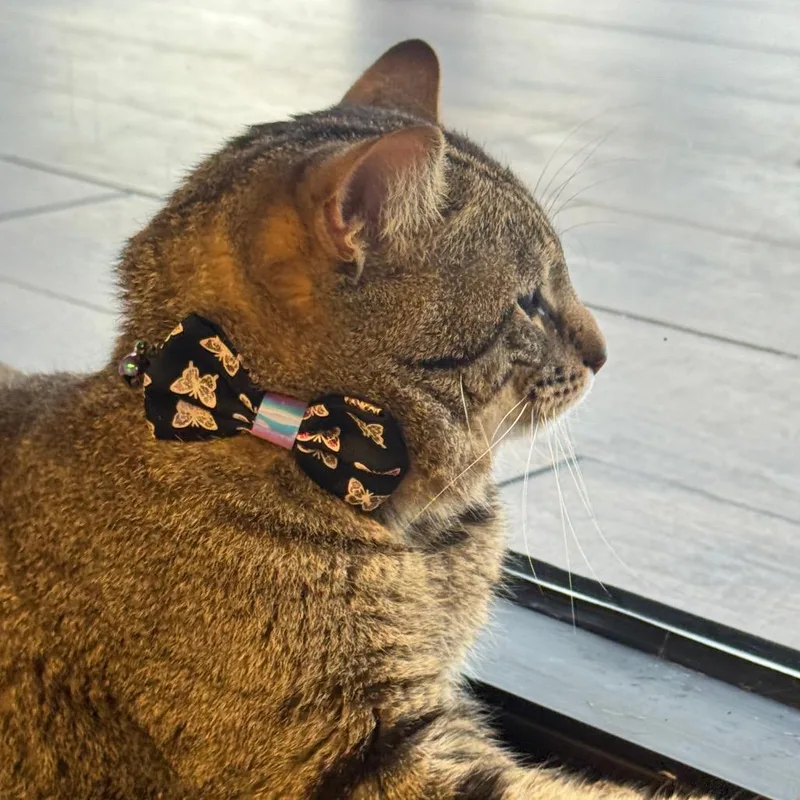 Fuggedit thumbnail 3