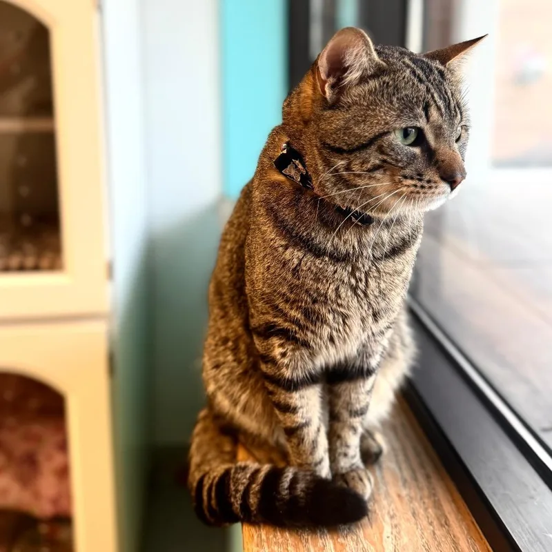 Fuggedit thumbnail 4