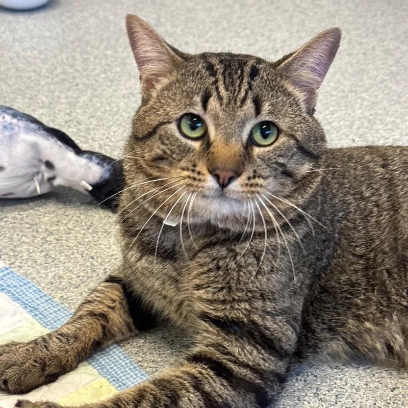 Fuggedit thumbnail 6