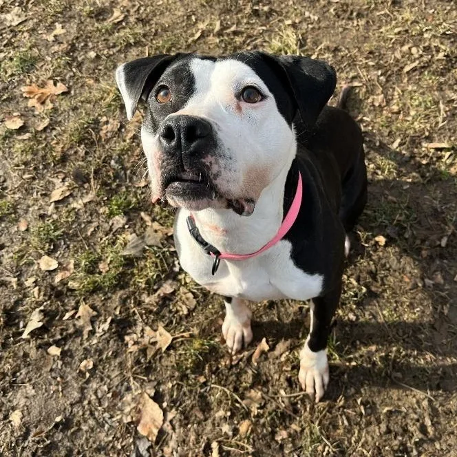 Malie Marie thumbnail 2