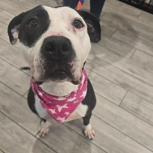 Malie Marie thumbnail 5