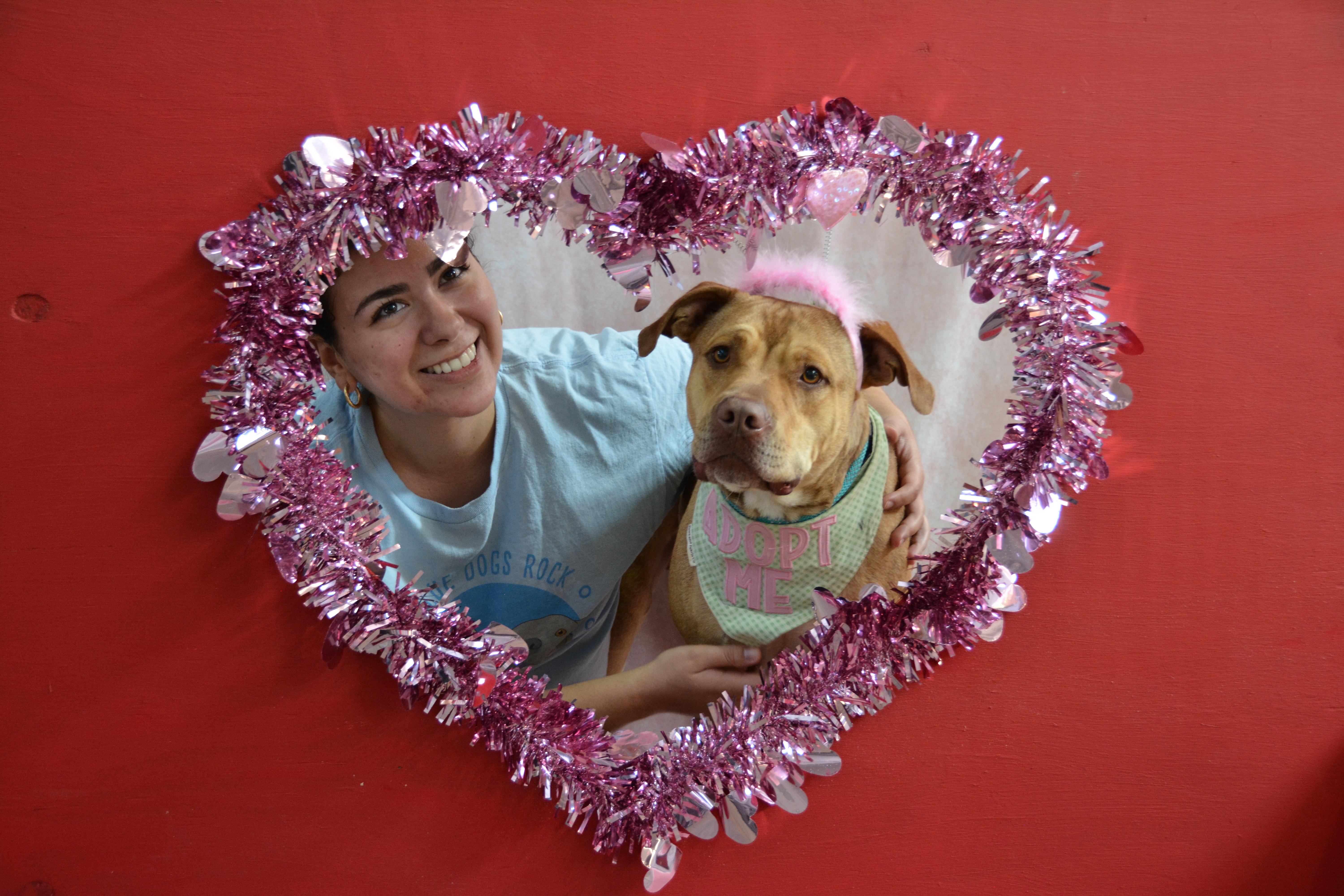 Teddy Roo Ruxpin thumbnail 2