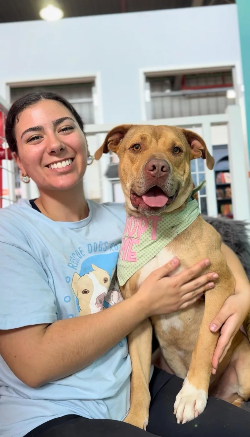 Teddy Roo Ruxpin thumbnail 4