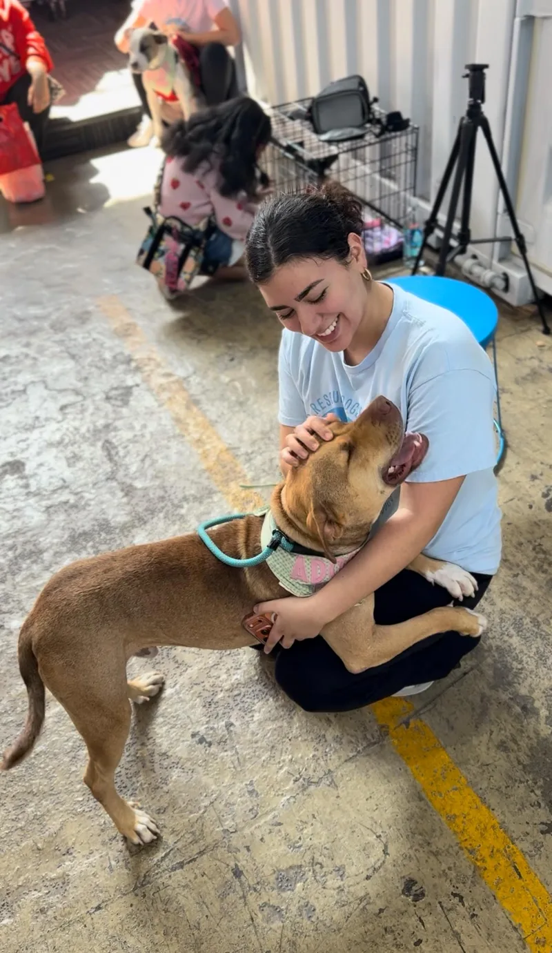 Teddy Roo Ruxpin thumbnail 6