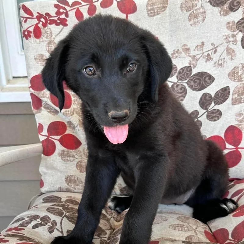 KiKi