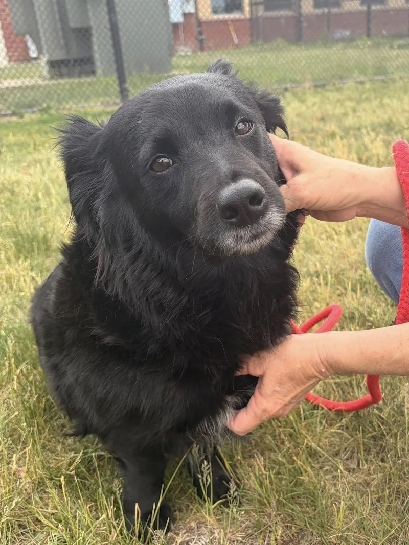 Princess thumbnail 4