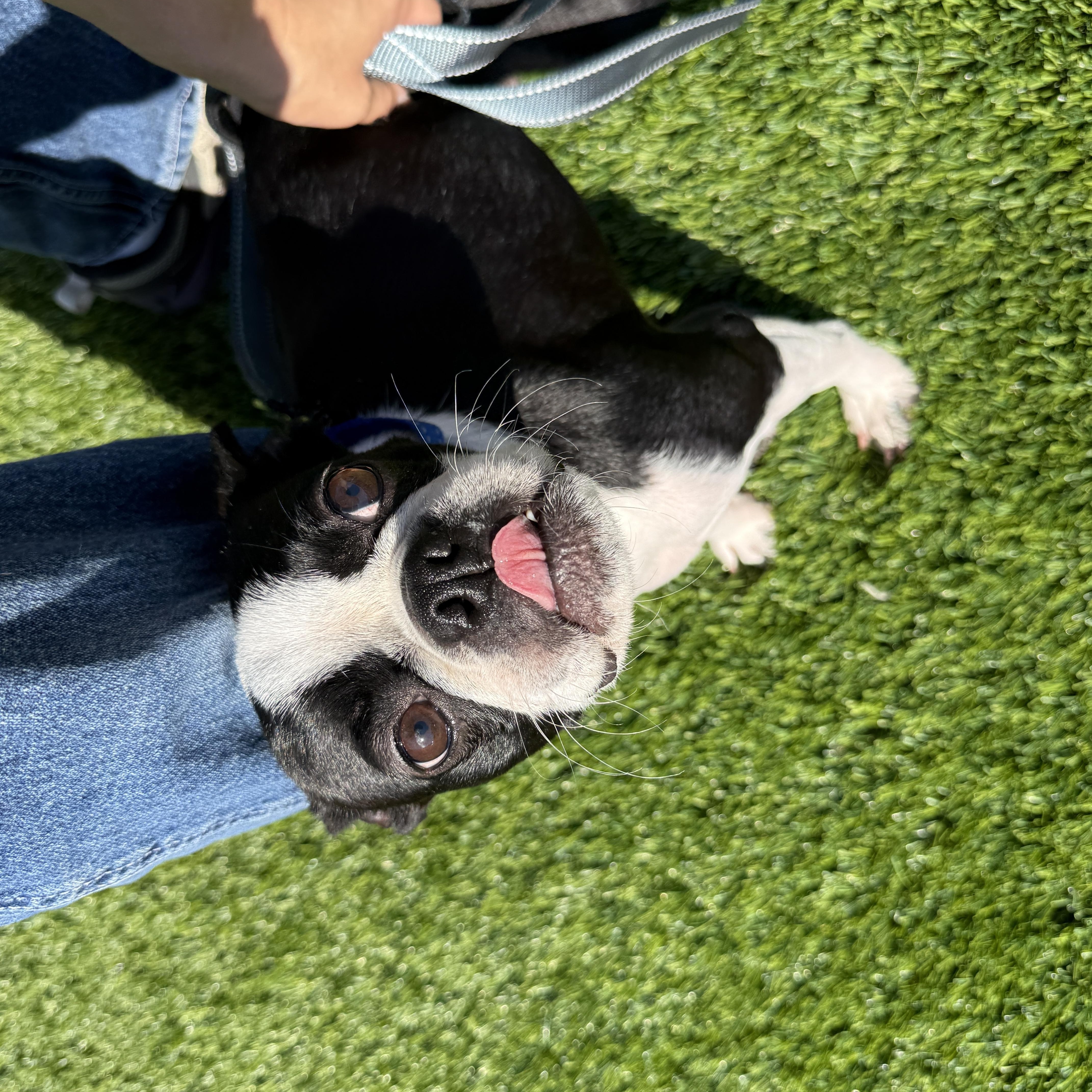 Matilda thumbnail 3