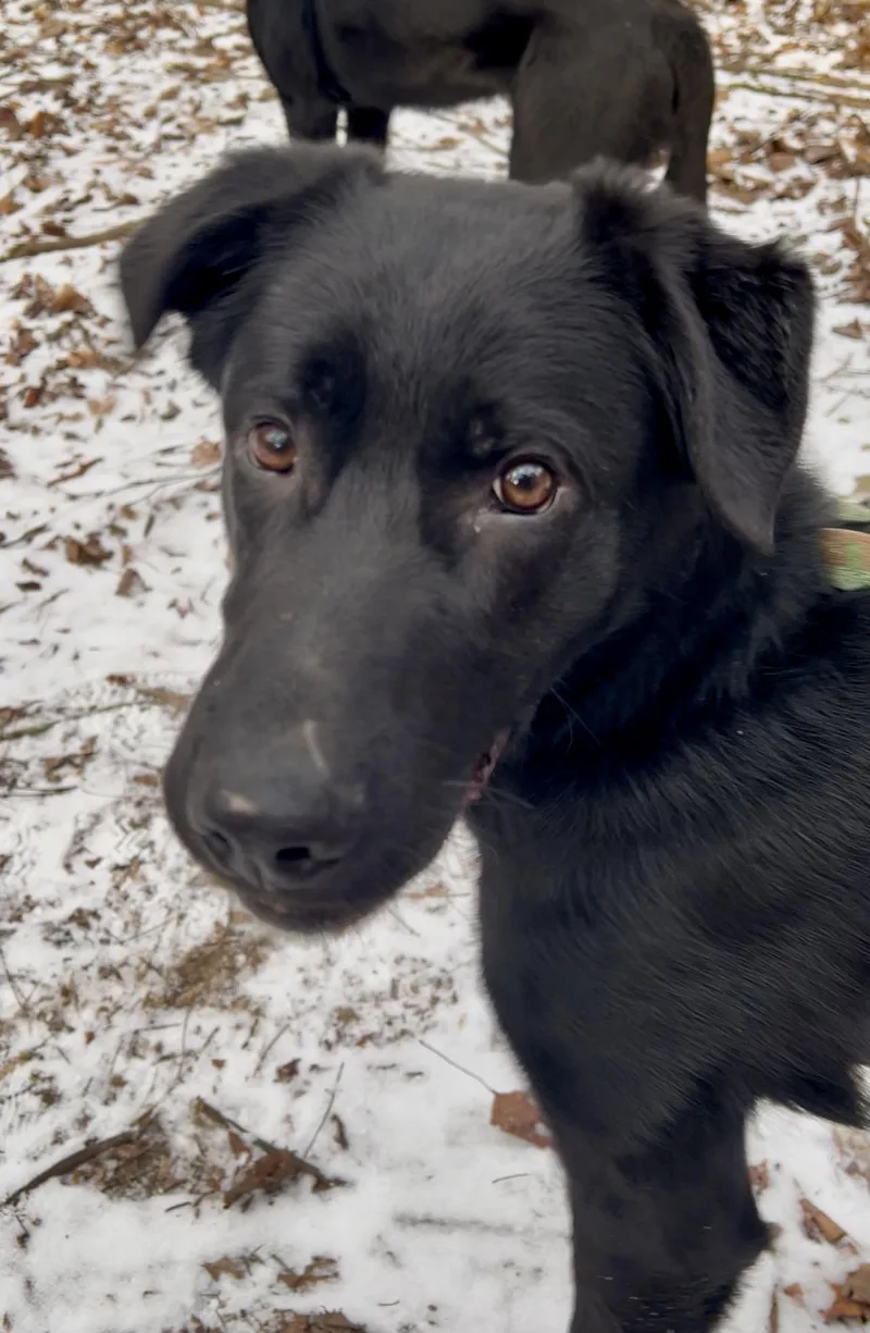 Sandwich thumbnail 6