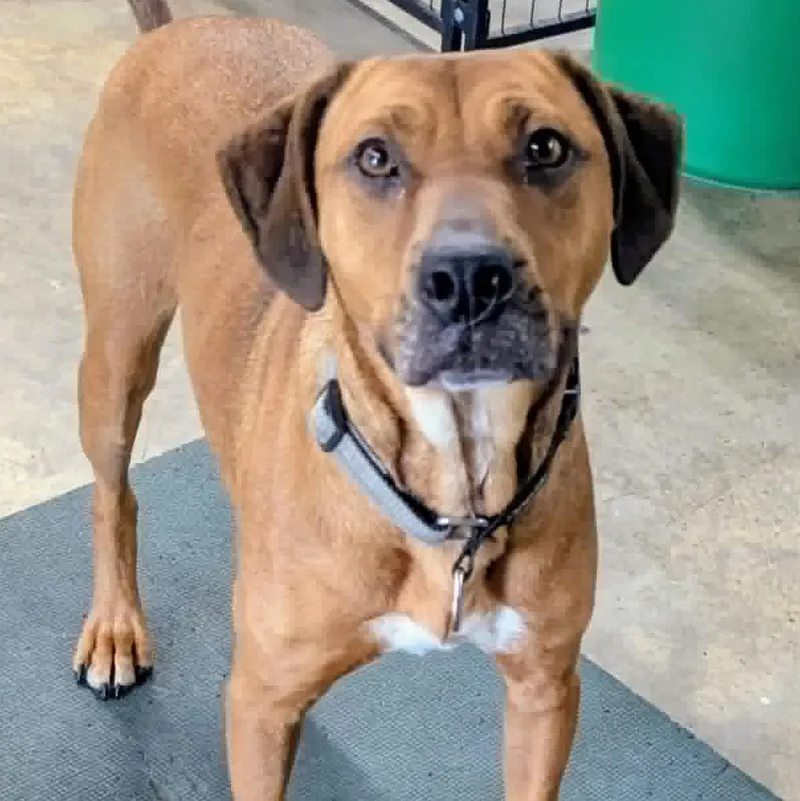 Ruger: Finally Getting His thumbnail 3