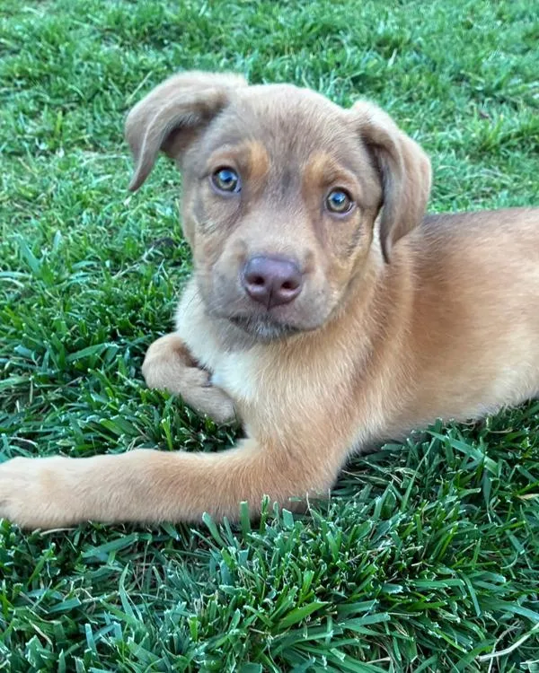 Sadie