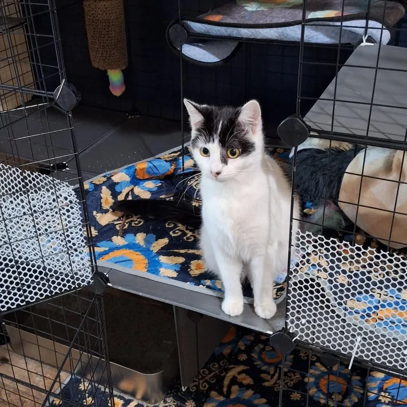 Lexie And Sophie thumbnail 2