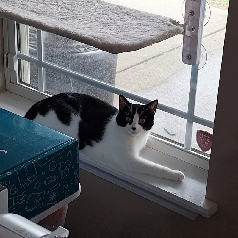 Lexie And Sophie thumbnail 3