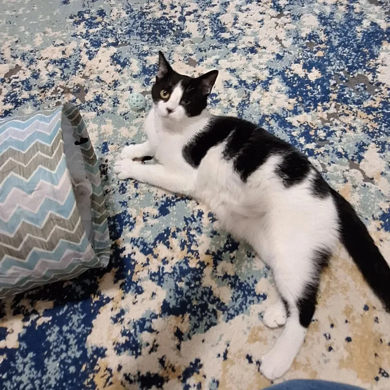 Lexie And Sophie thumbnail 4