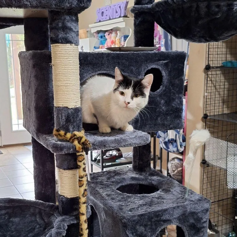 Lexie And Sophie thumbnail 5