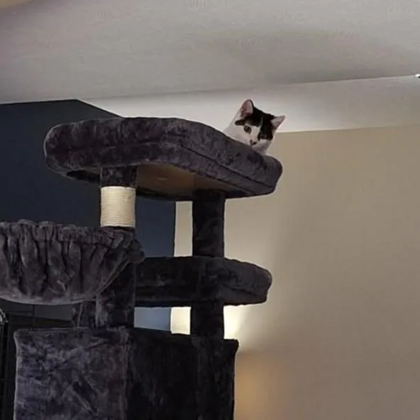 Lexie And Sophie thumbnail 6