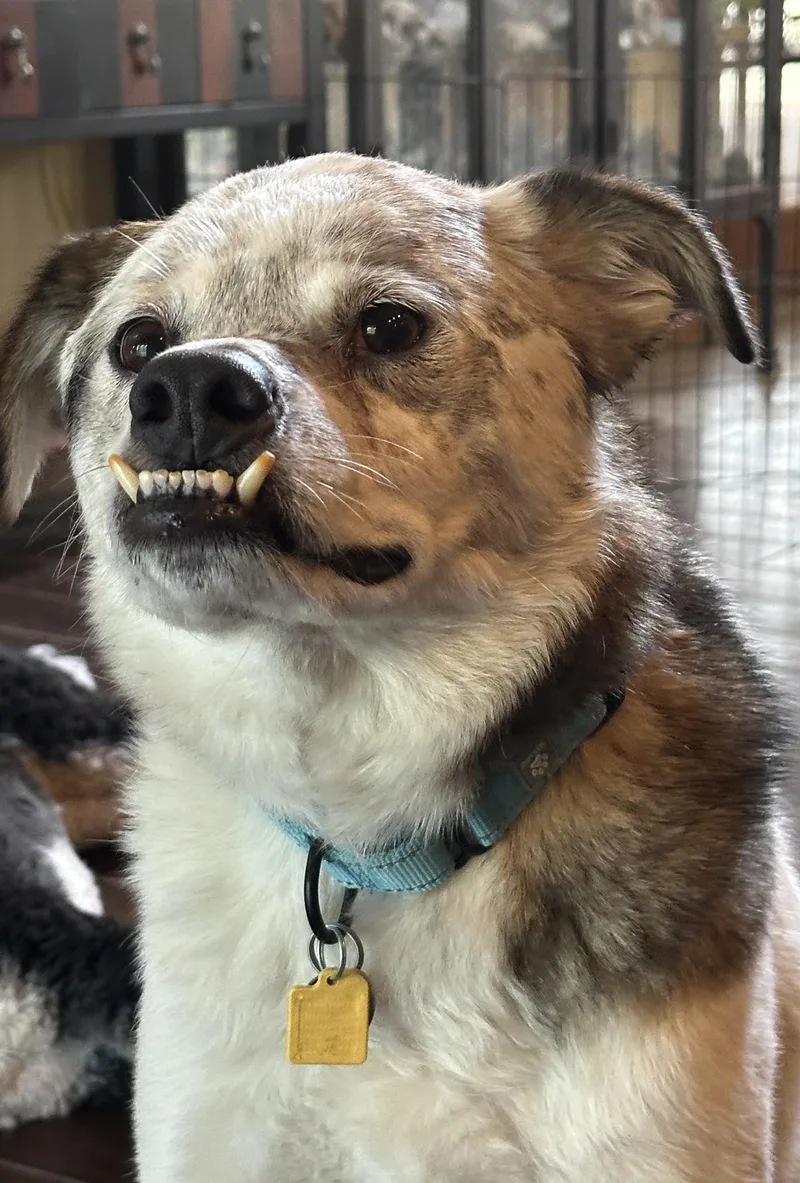 Walter