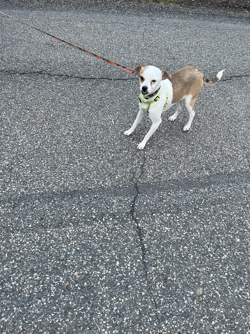 Terrence thumbnail 3