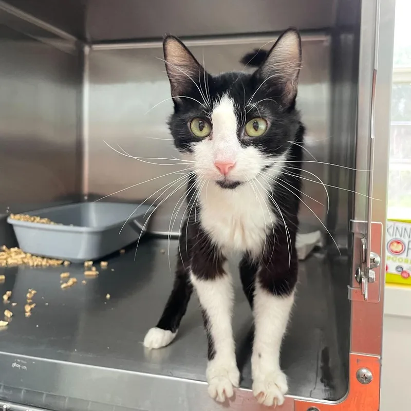 Nurse Jackie thumbnail 2