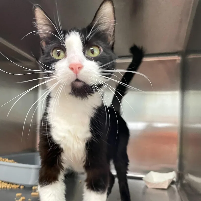 Nurse Jackie thumbnail 3