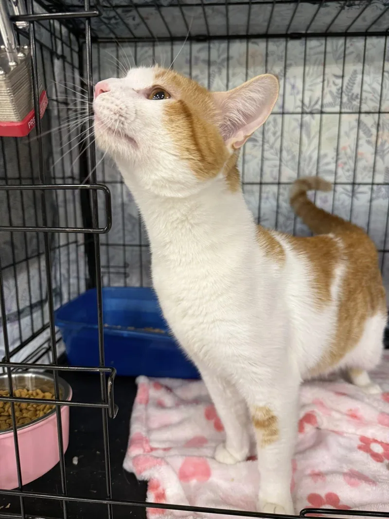 Frankie Knucles thumbnail 5