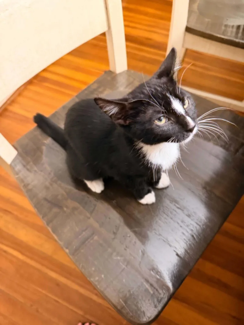 Bagel thumbnail 3