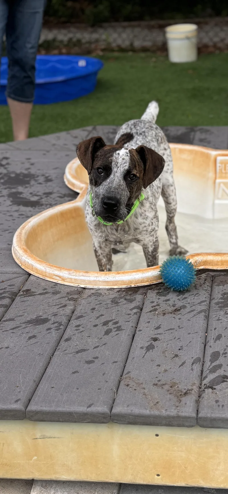 Riley thumbnail 2