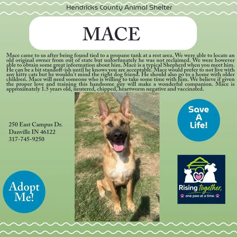Mace