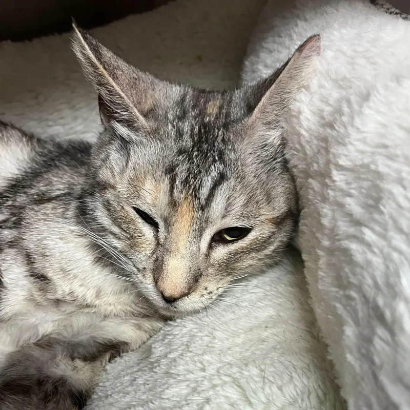 Squiggles thumbnail 4