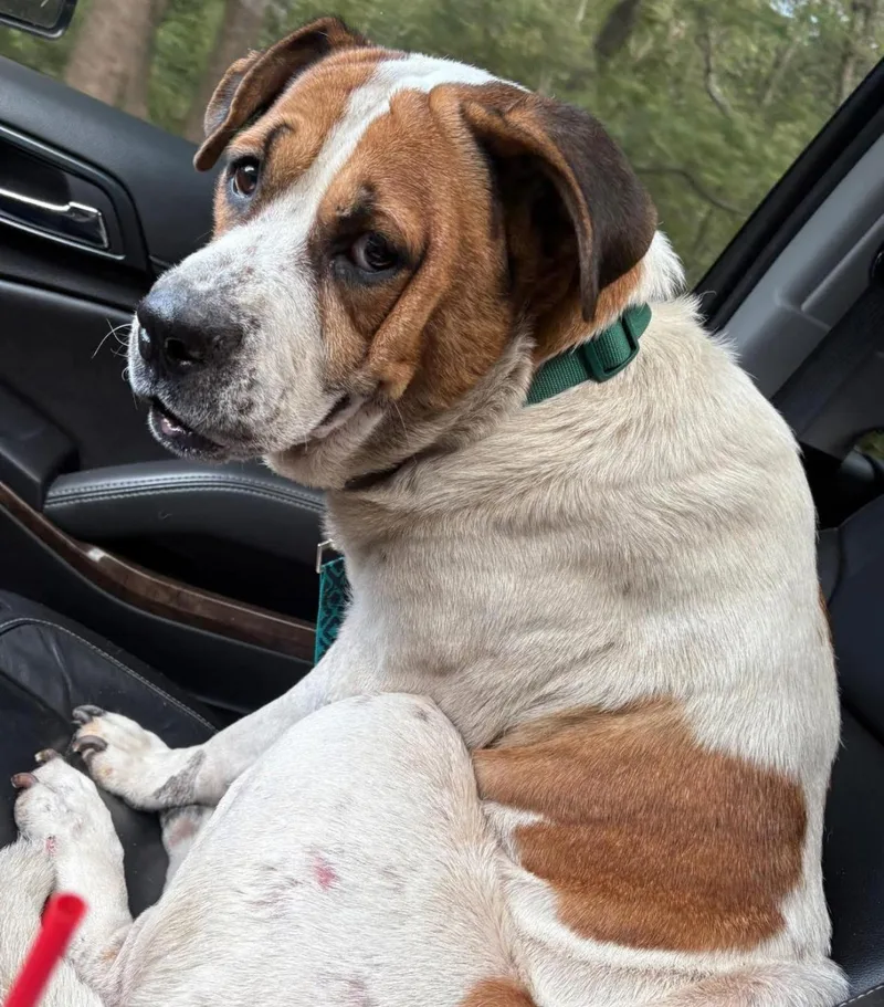 Princess thumbnail 2