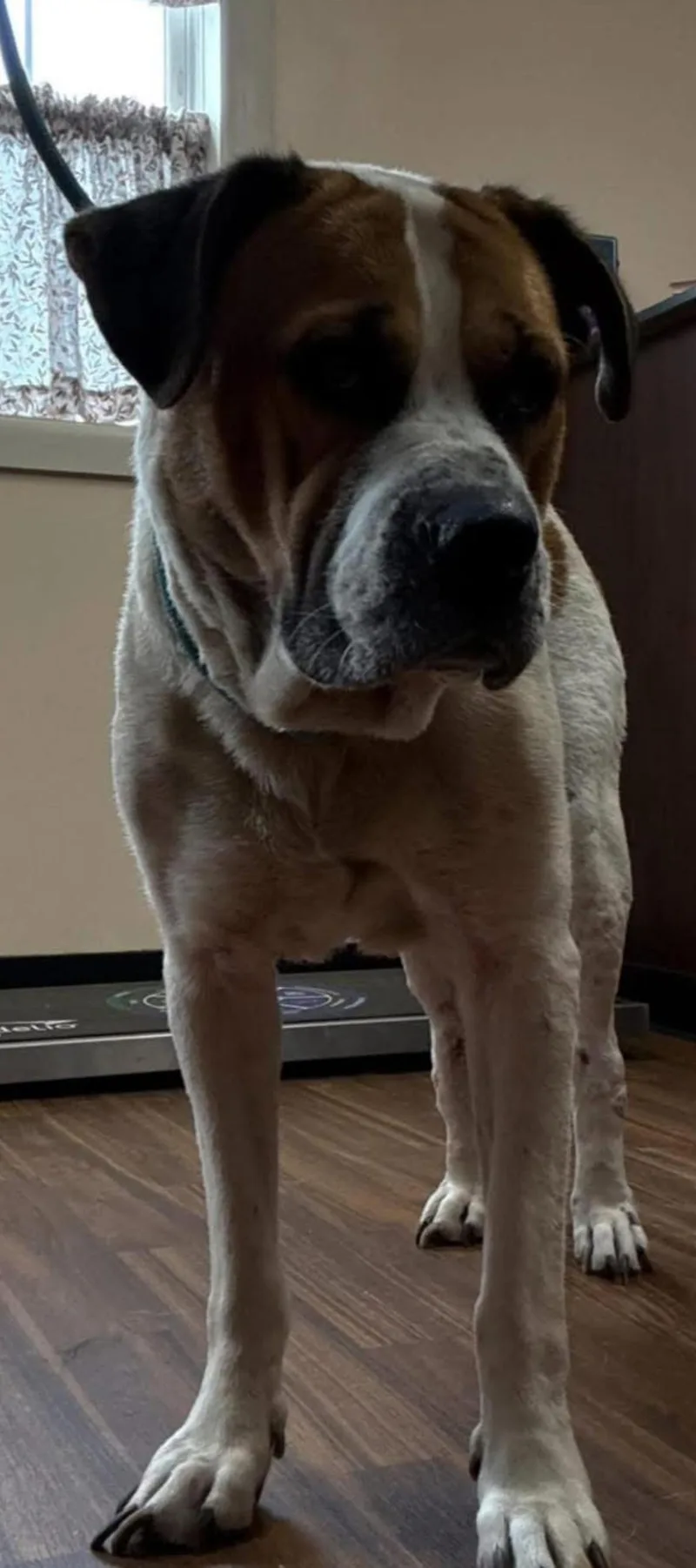 Princess thumbnail 3