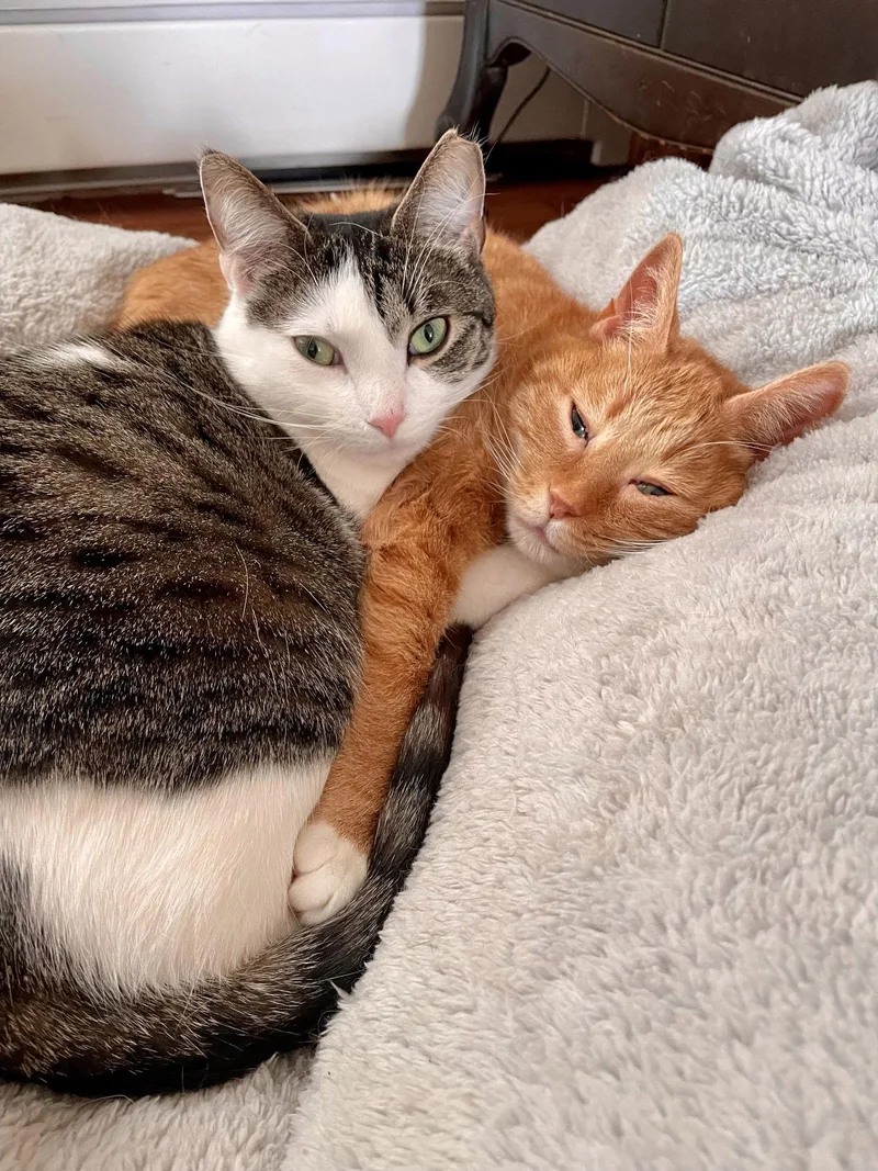 Rosie And Minnie The