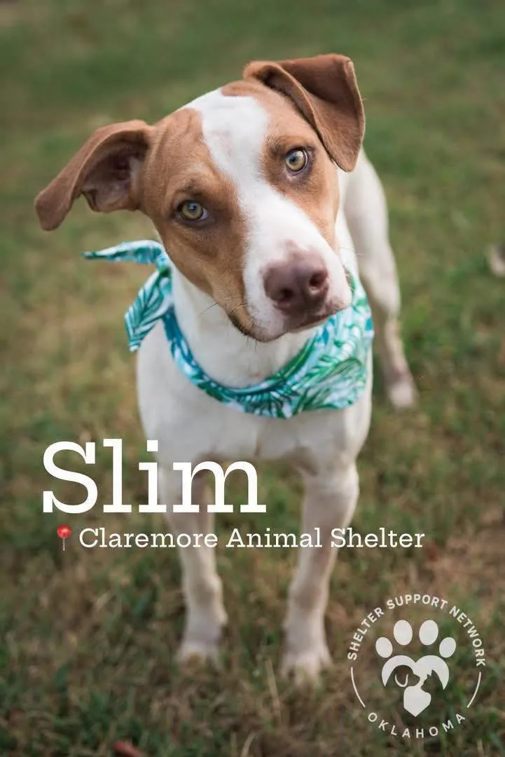 Slim