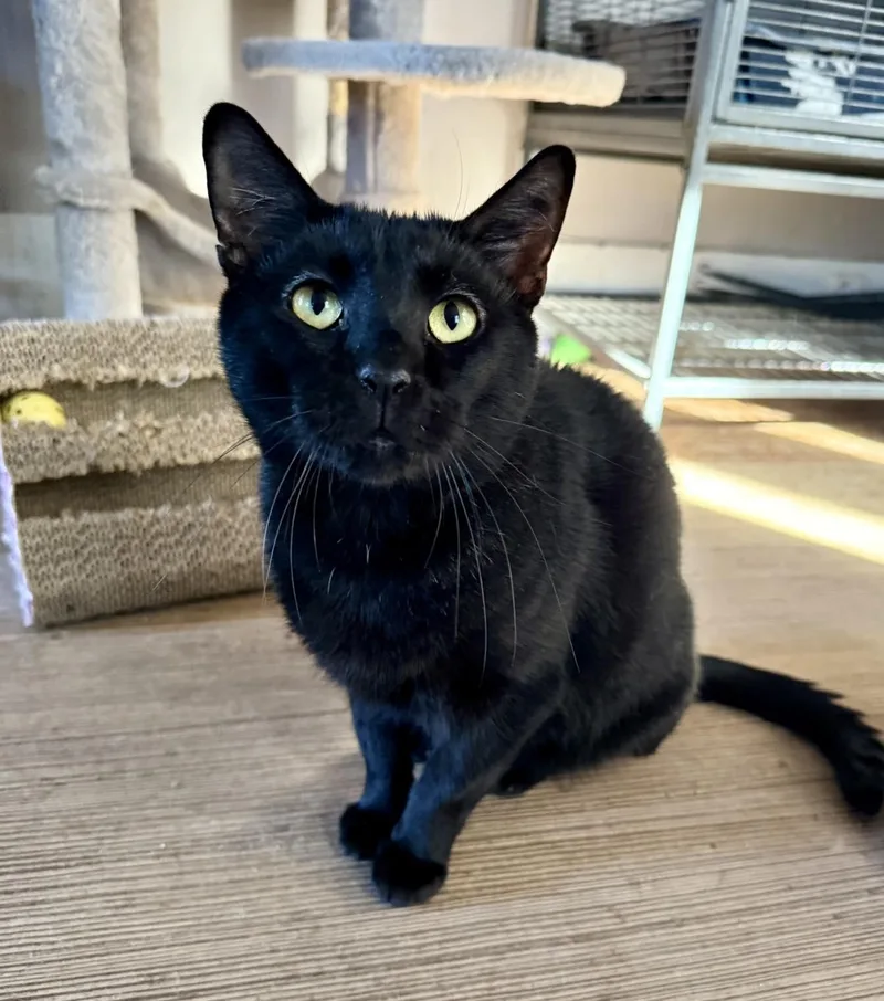 Leonardo thumbnail 2