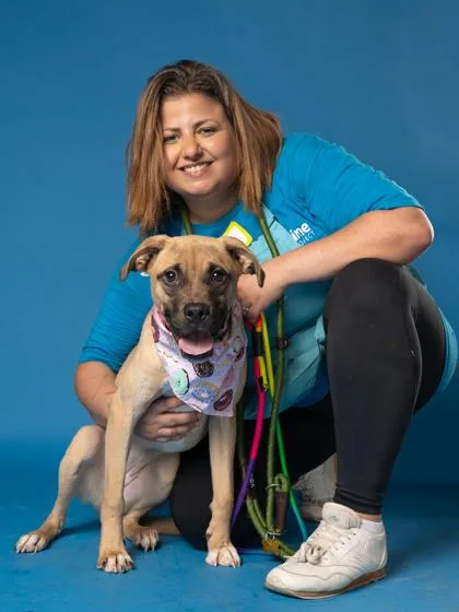 A young medium-sized female Mixed Breed dog named Stormy for adoption in Atlanta, GA