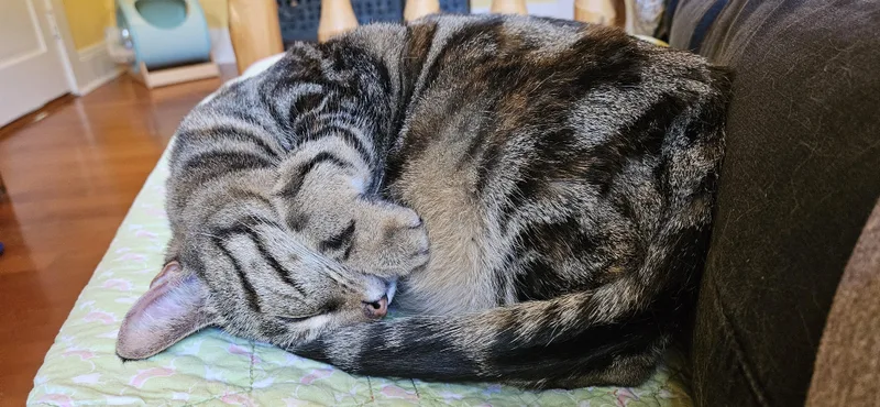 Mildred