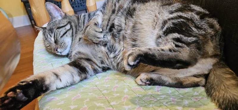 Mildred thumbnail 4