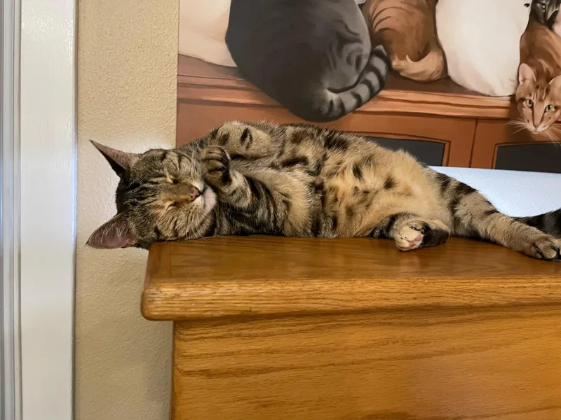 Mildred thumbnail 6