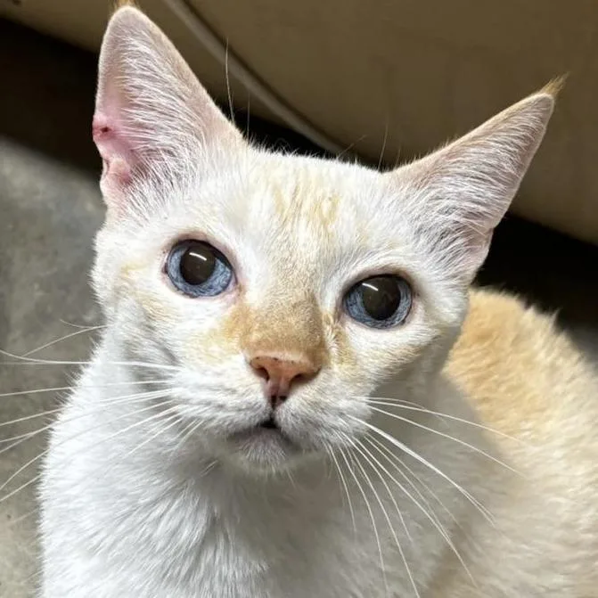 Radar Love thumbnail 3