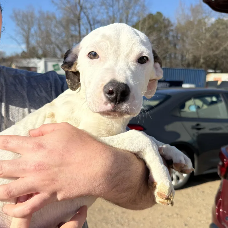 Runner's High thumbnail 2