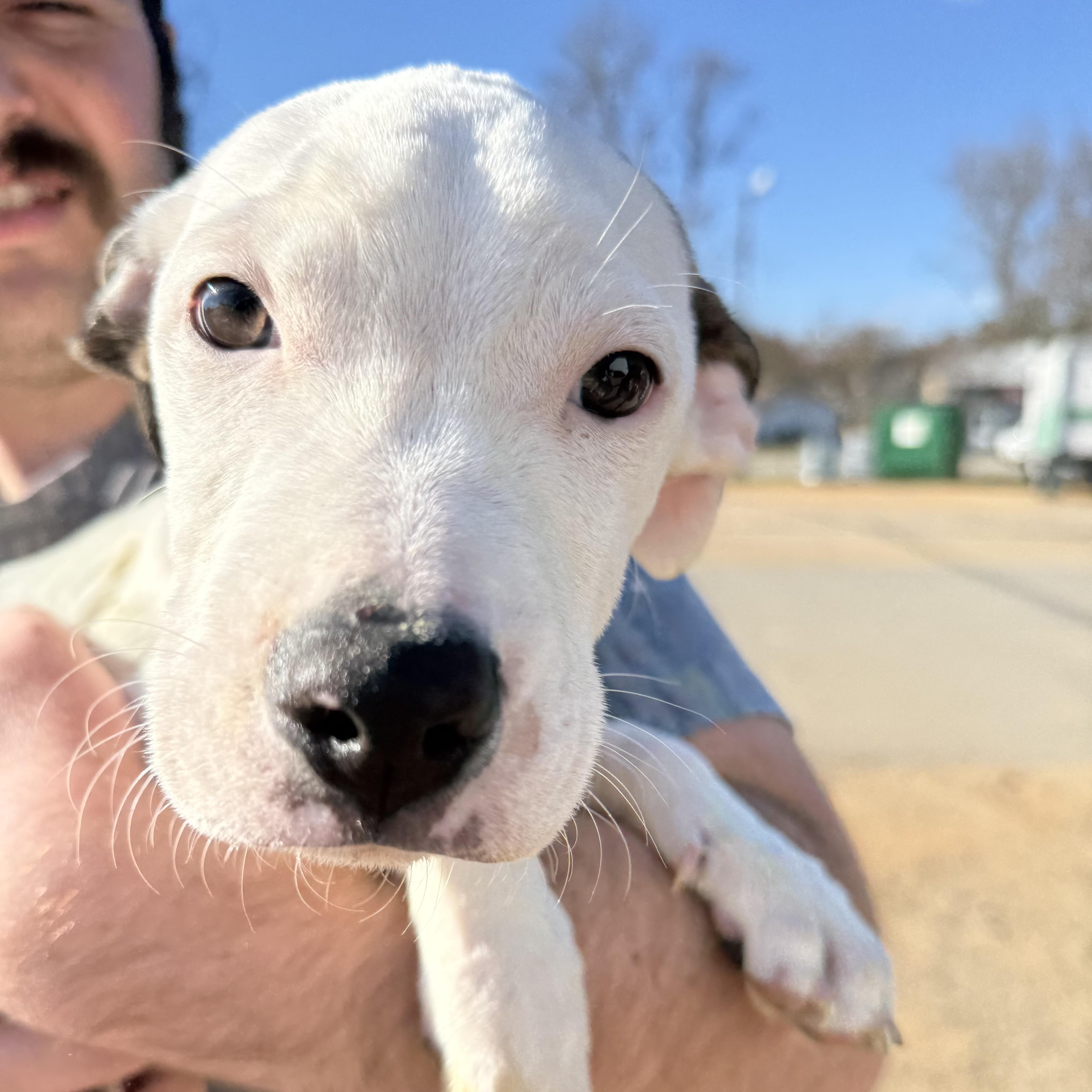 Runner's High thumbnail 3