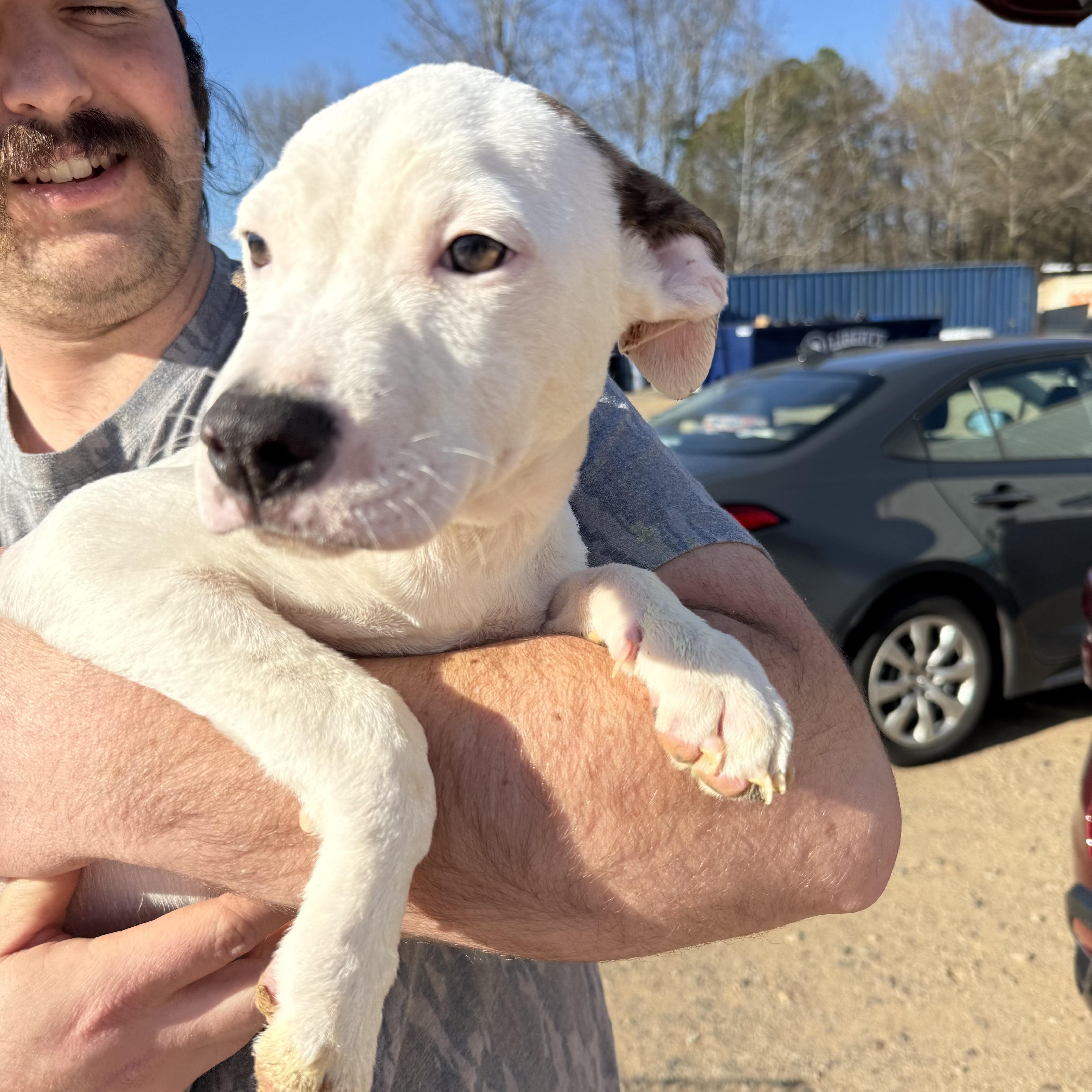 Runner's High thumbnail 4