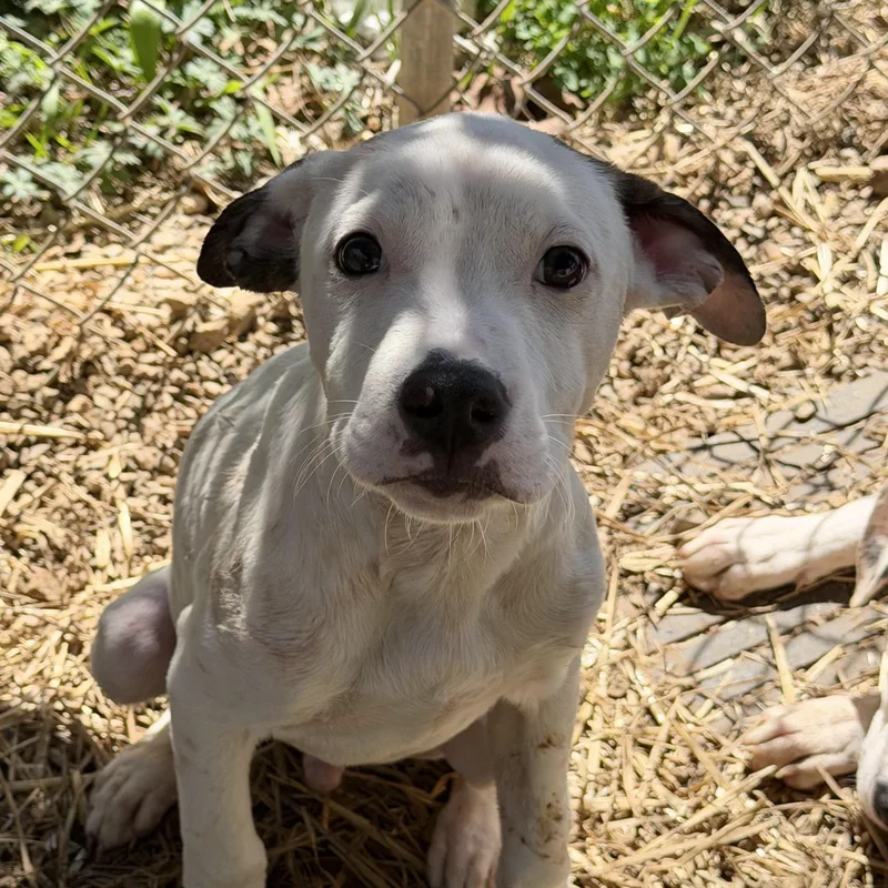 Runner's High thumbnail 5