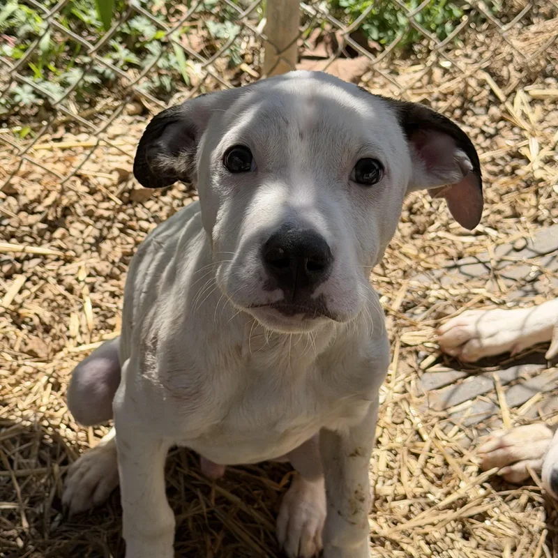 Runner's High thumbnail 6