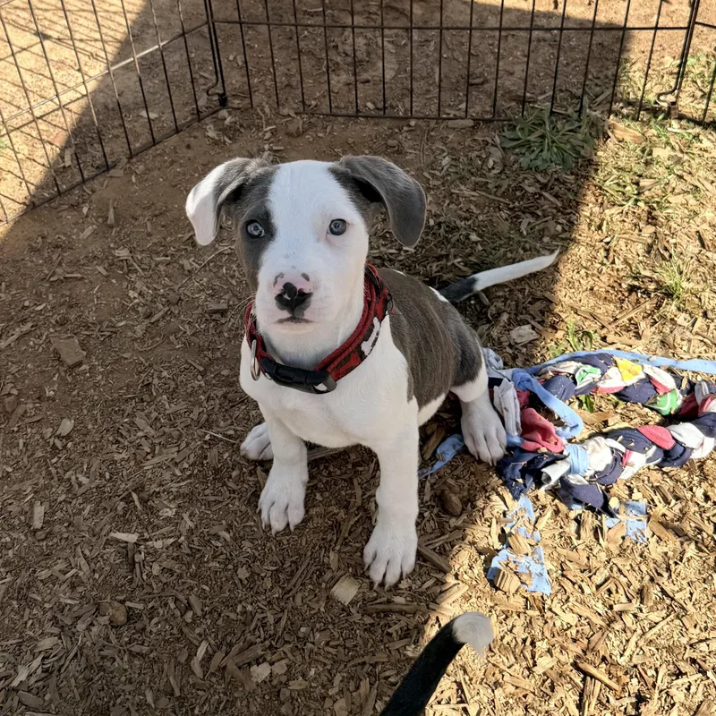 Kenny G 🎶 thumbnail 3