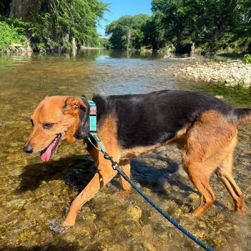 Max