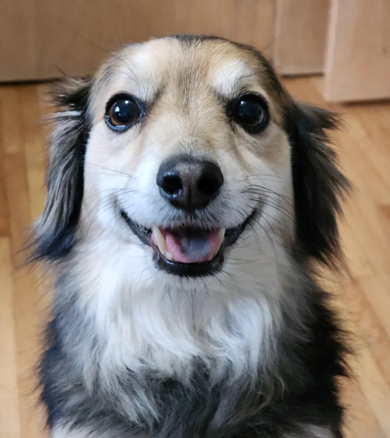 Murphy