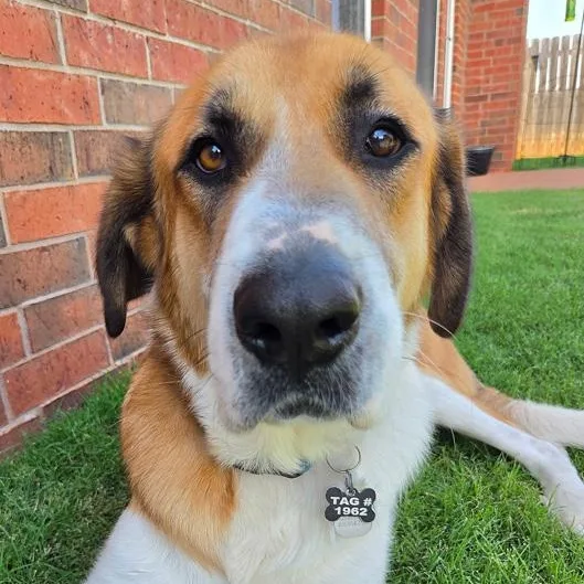 Benson