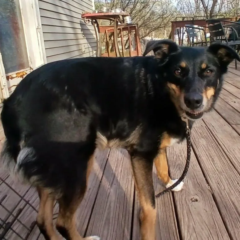 Daisy Mae thumbnail 5