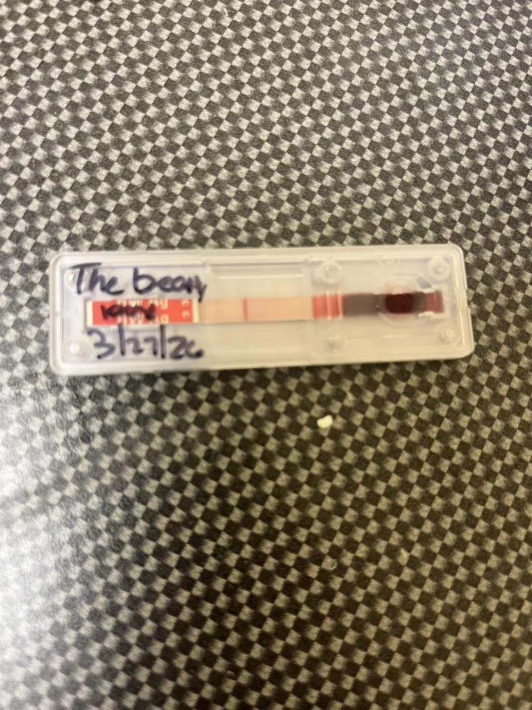 The Beasty Boy thumbnail 2