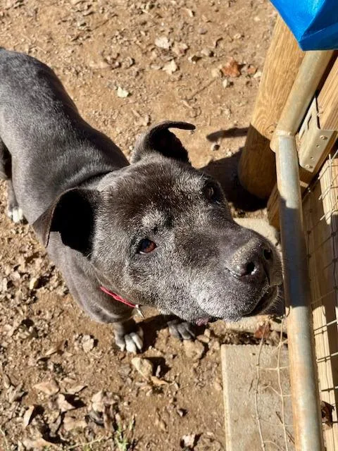 Bill  Af thumbnail 3